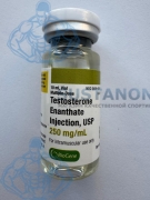 BioGene Testosterone Enanthate 250 (Тестостерон Енантат) 10 ml